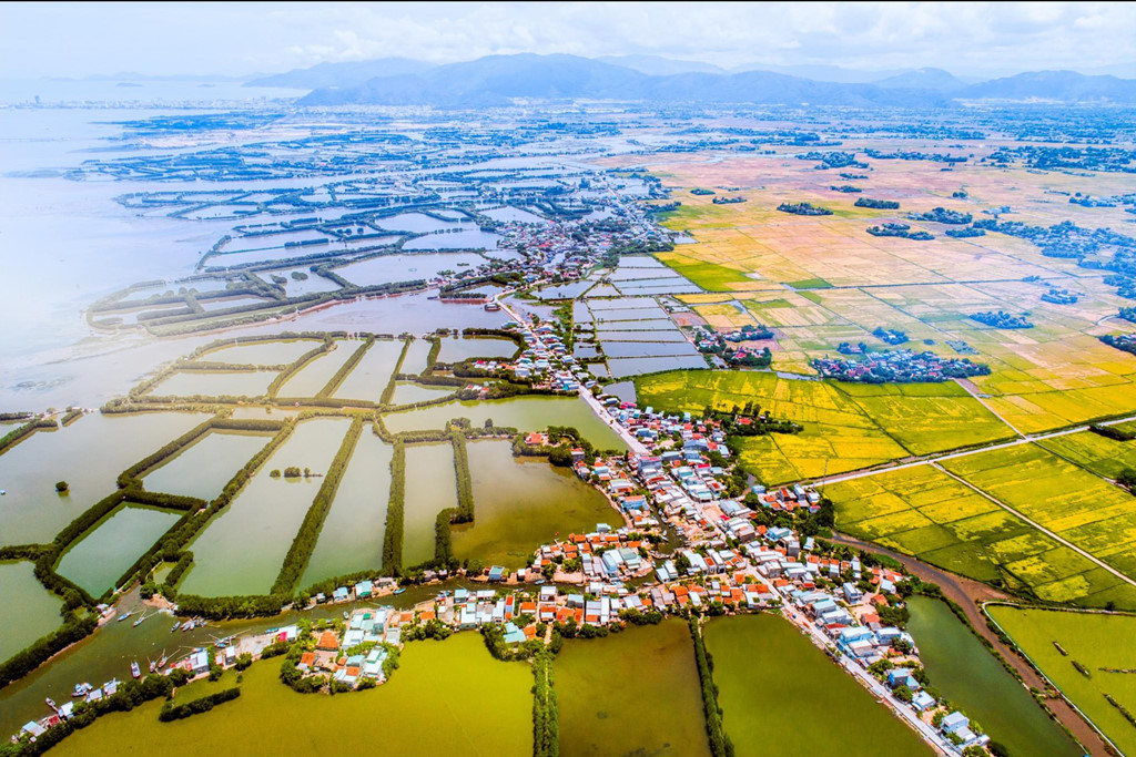 Tiềm năng bất động sản tại Bình Định